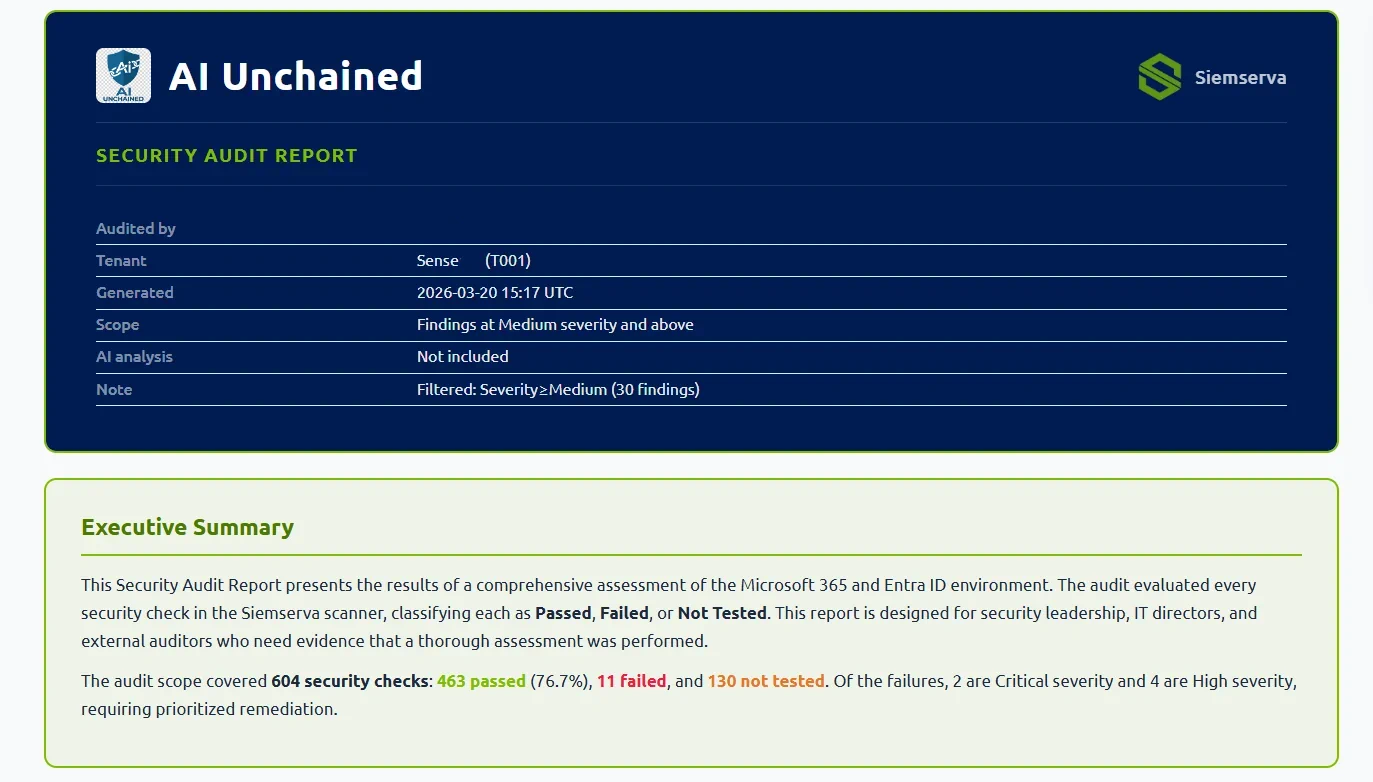Siemserva Security Audit Report — branded header with partner logo, audit metadata, and executive summary